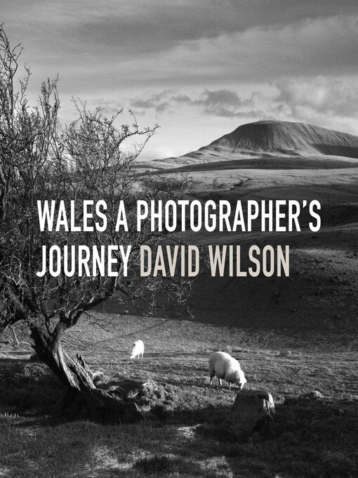 Title details for Wales: A Photographer's Journey by David Wilson - Available